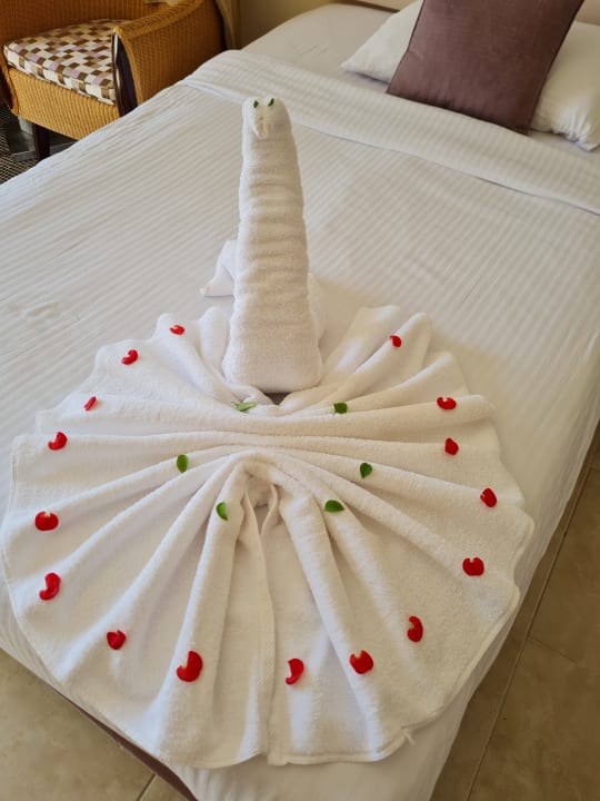 Zimmer Tropitel Sahl Hasheesh