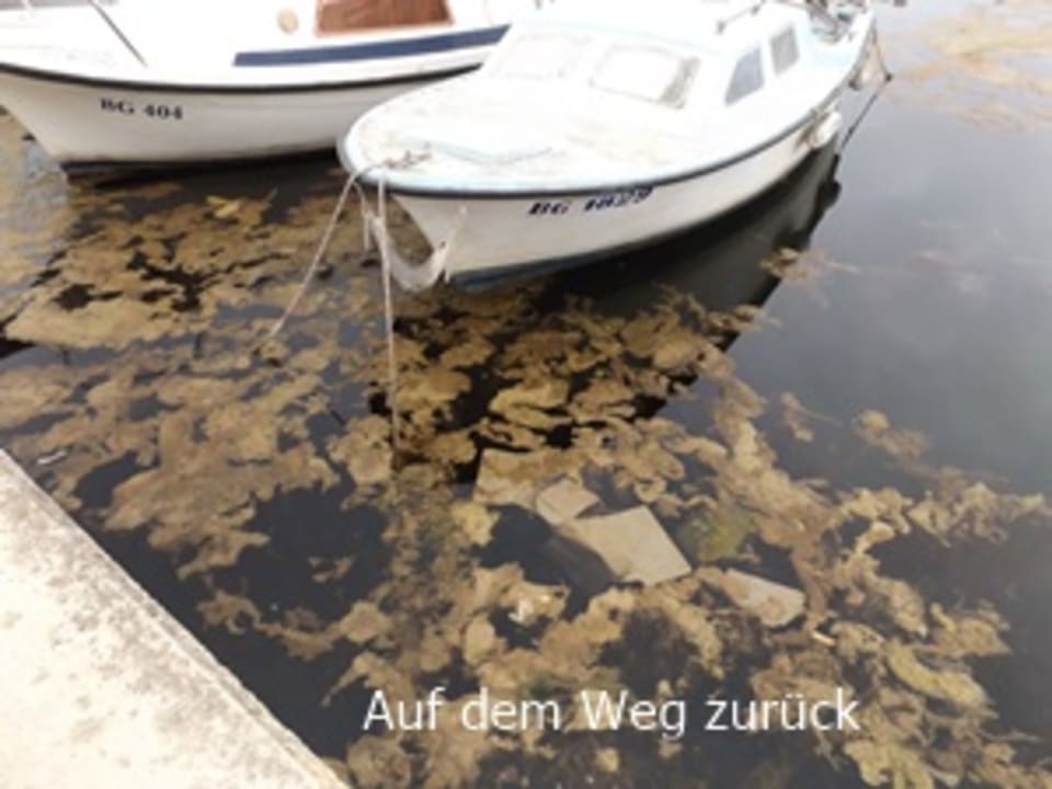 Außenansicht Hotel IN Biograd