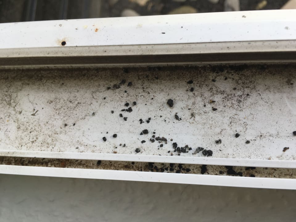 Zimmer Landal Grønhøj Strand Resort