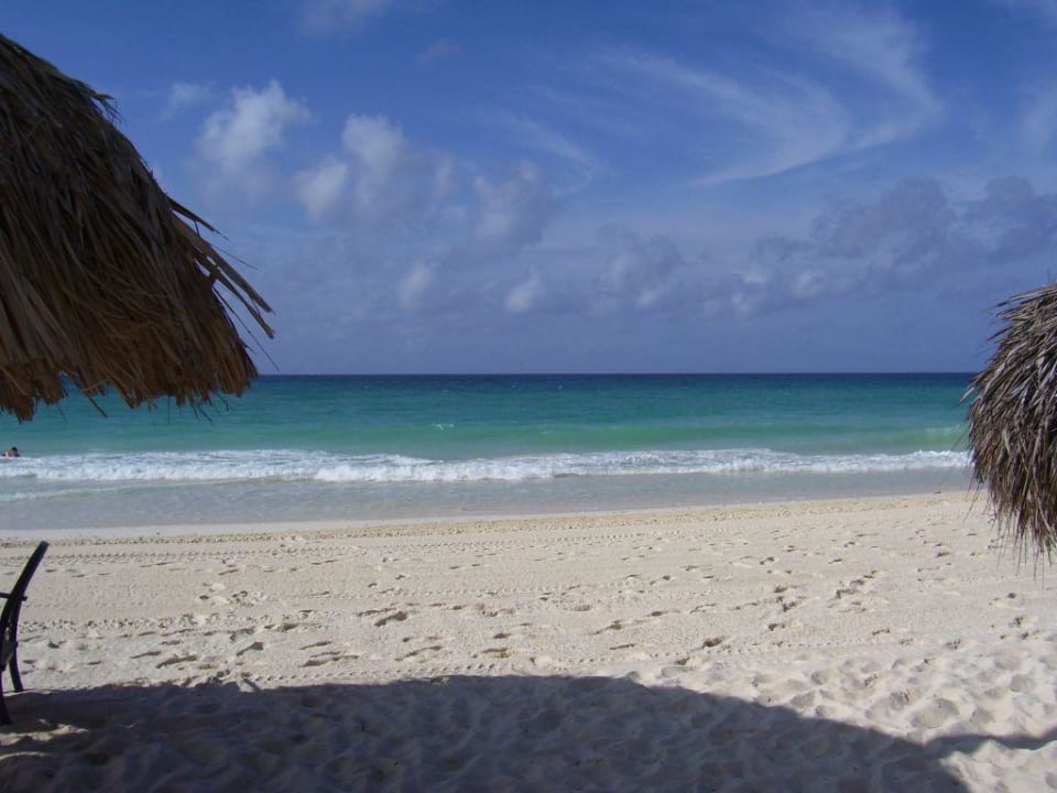 Traumstrand Divi Aruba All Inclusive