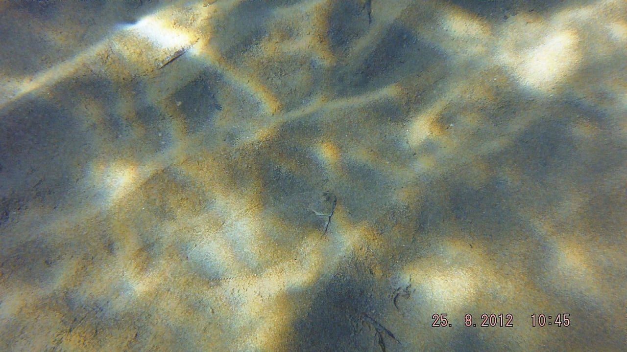 Unter Wasser, Plattfisch Süral Saray Hotel