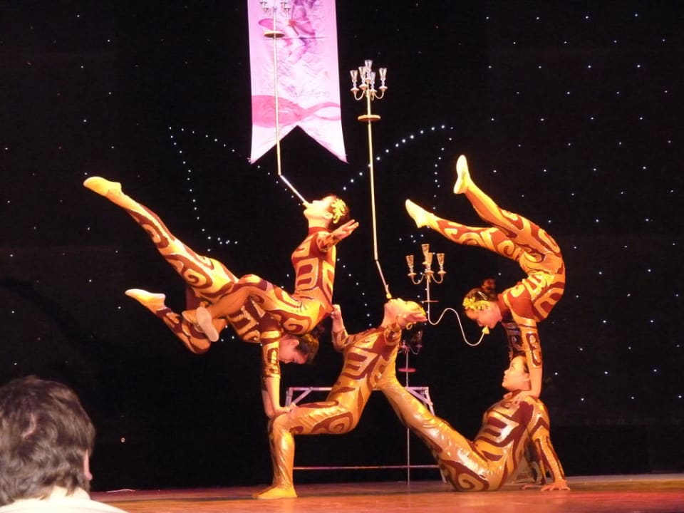 Show time Papillon Ayscha