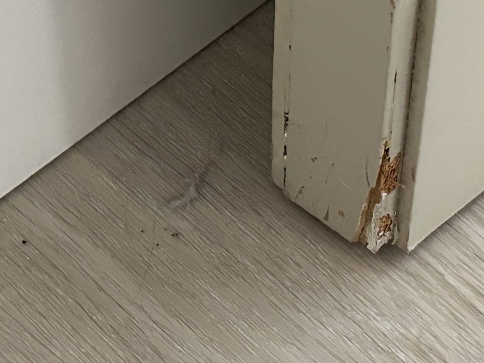 Zimmer Hipotels Mediterraneo Club