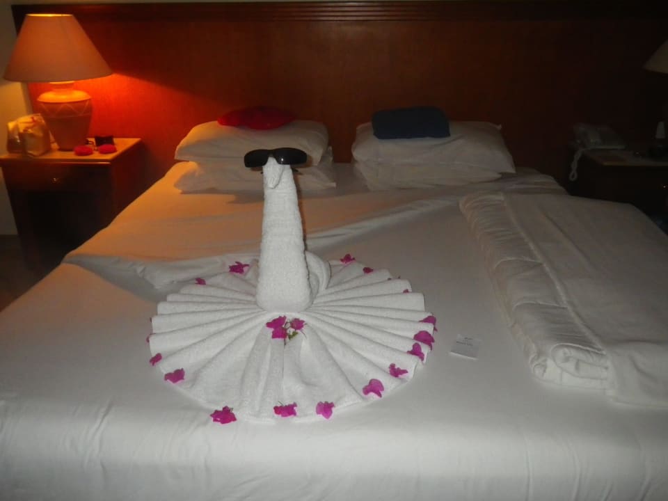 Dekoration Malikia Resort Abu Dabbab