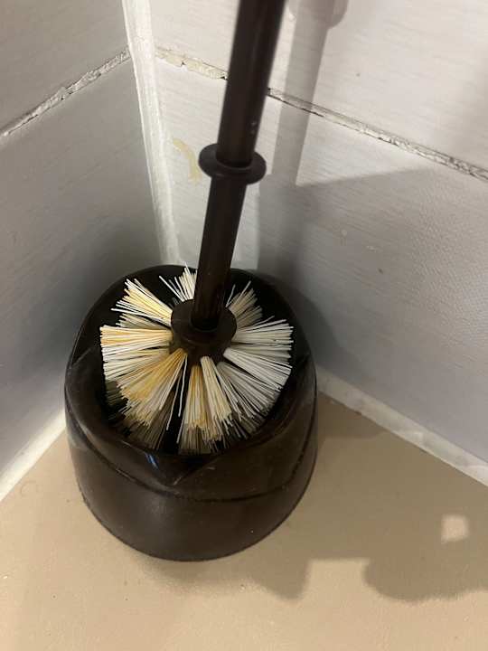 Zimmer Royal Star Beach Resort