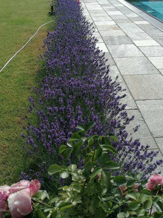 Gartenanlage Natur Resort Rissbacher