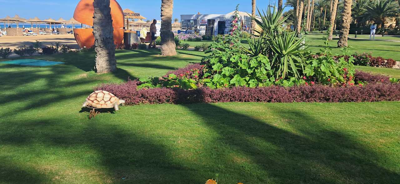 Gartenanlage Stella Beach Resort & Spa Makadi Bay