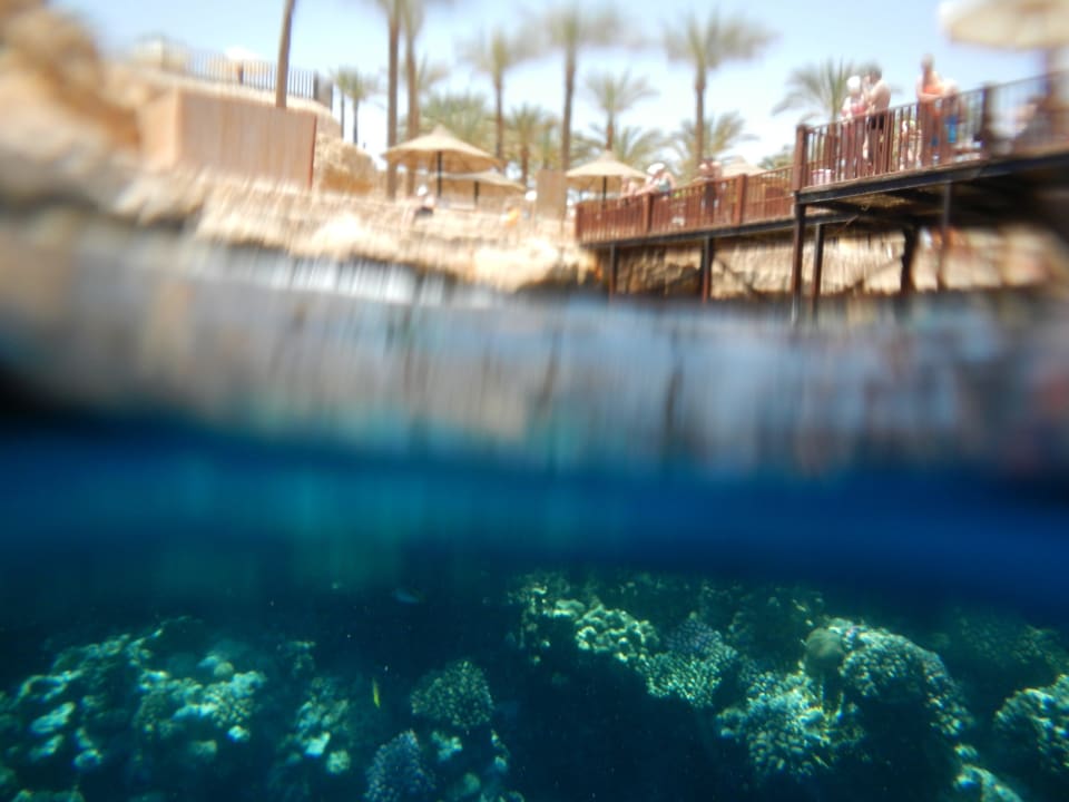 Zwei Welten... The Grand Hotel Sharm El Sheikh