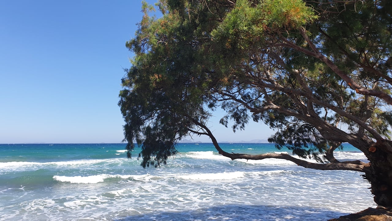 Strand Costa Angela Seaside Resort