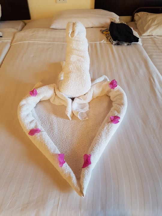 Zimmer Three Corners Sea Beach Resort