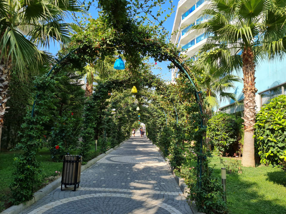 Gartenanlage Dream World Hill Hotel