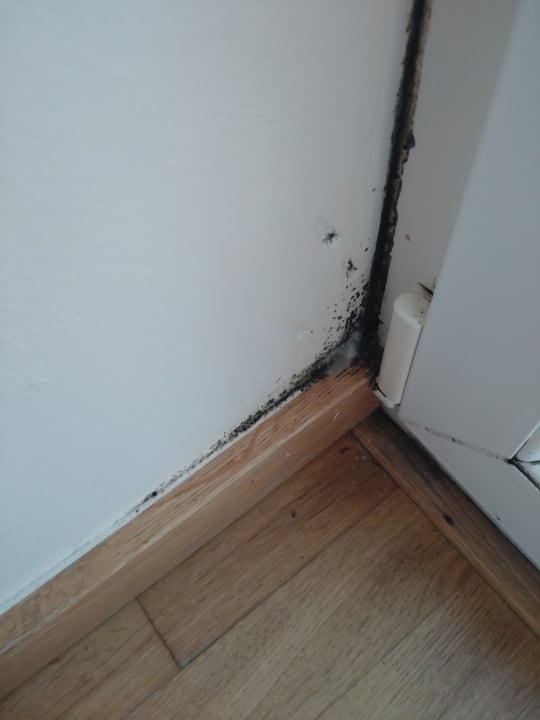 Zimmer JUFA Hotel Jülich