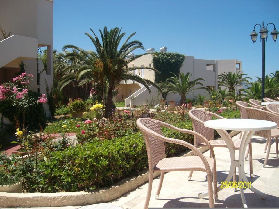 An der Poolbar Delfina Tropic Beach