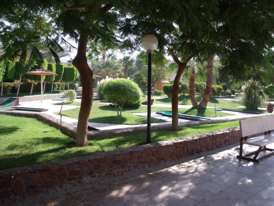Minigolfplatz unter Palmen Beach Albatros Resort