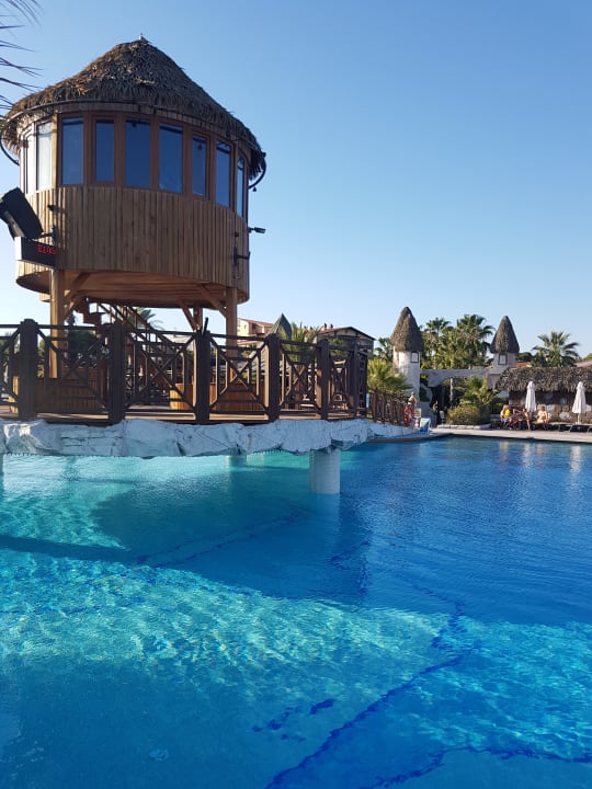 Pool Papillon Belvil