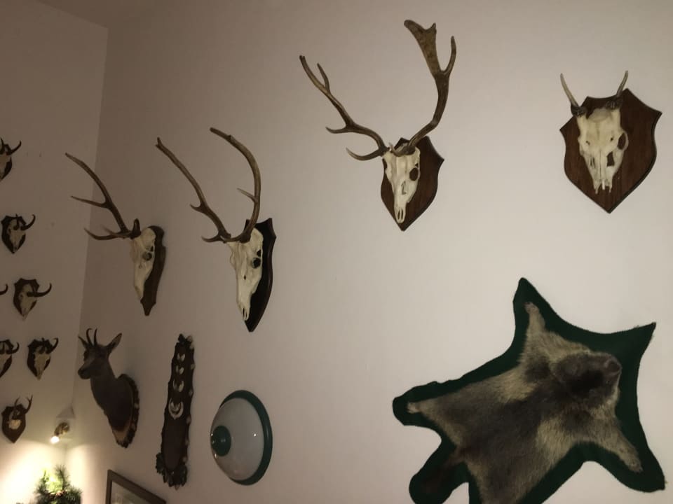 Treppenhaus  Die Seitenalm