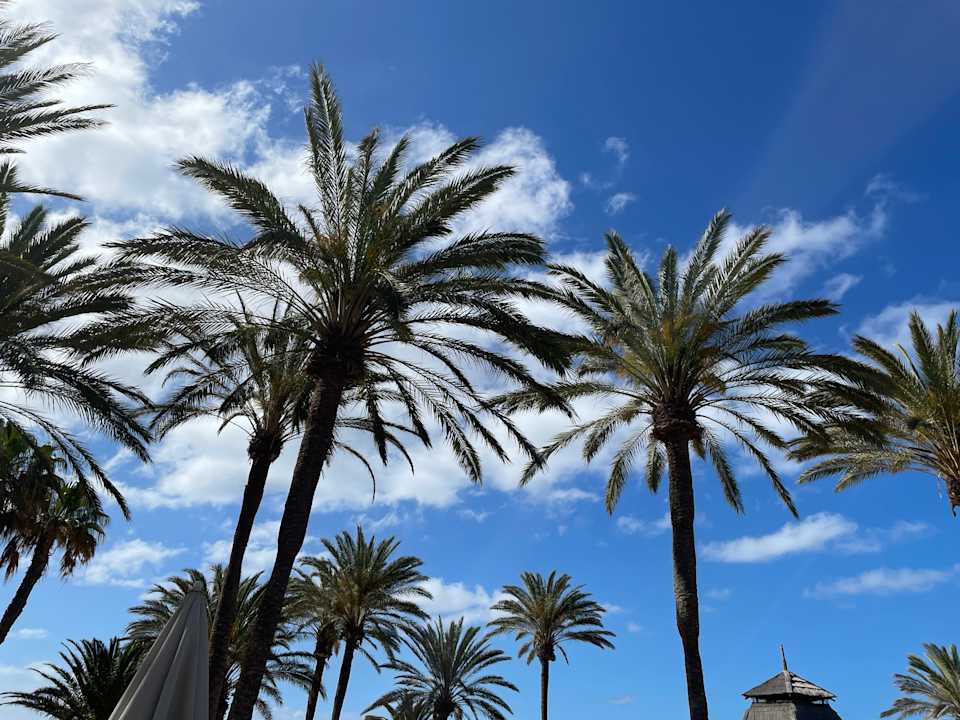 Gartenanlage SBH Costa Calma Beach Resort
