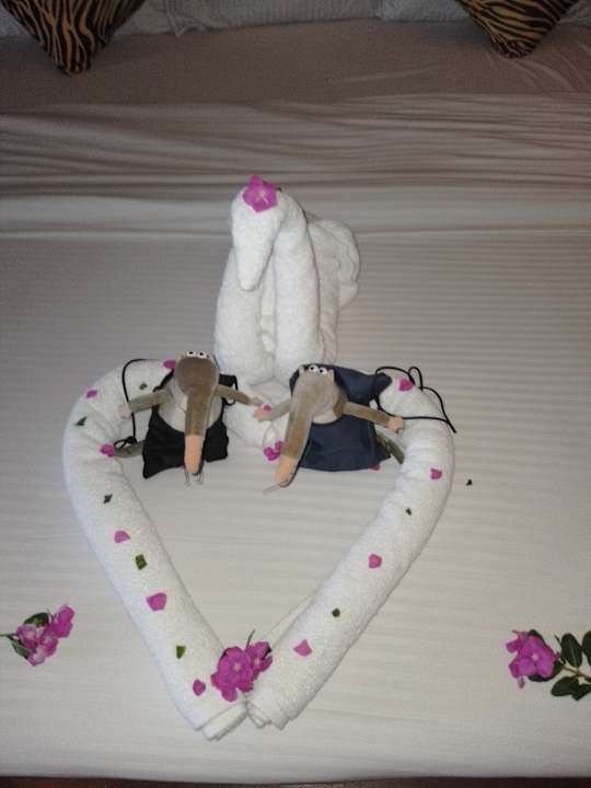 Zimmer Hotel Caves Beach Resort (Adults Only)