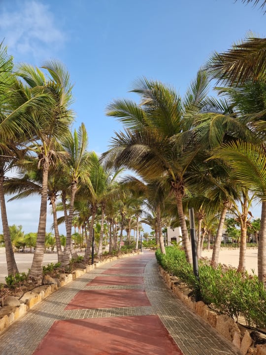 Gartenanlage Hotel Riu Karamboa