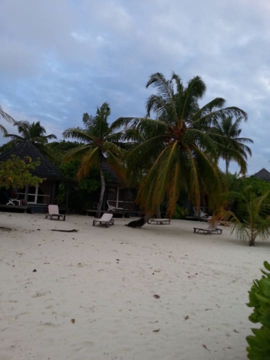 Mit Blick zur Villa Kuredu Island Resort & Spa