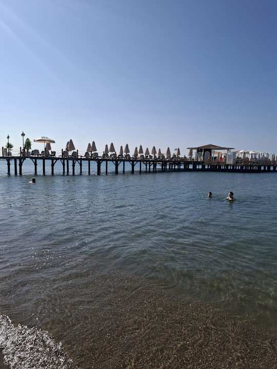 Strand Papillon Belvil