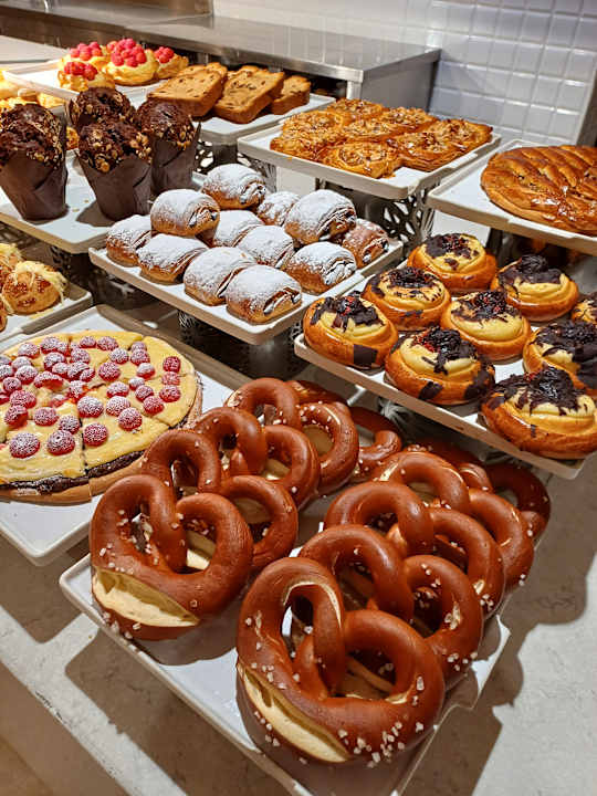 Gastro Acanthus Cennet Barut Collection