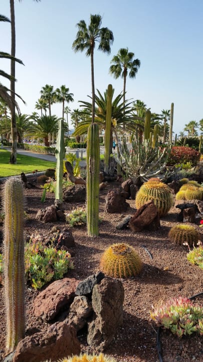 Gartenanlage Hotel Riu Gran Canaria