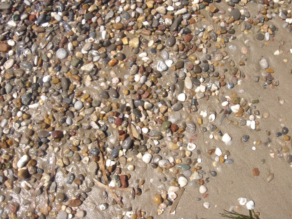 Rozmanitý písek Papillon Ayscha