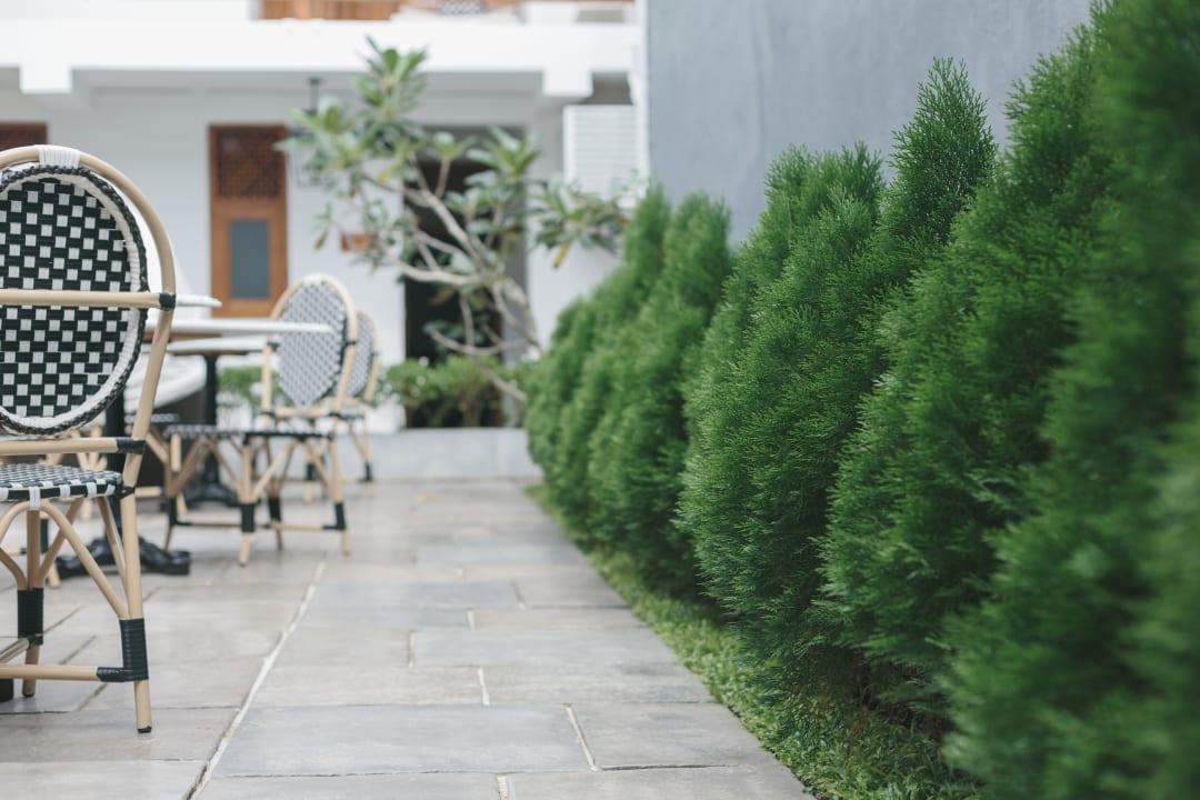 Gartenanlage Yara Galle Fort