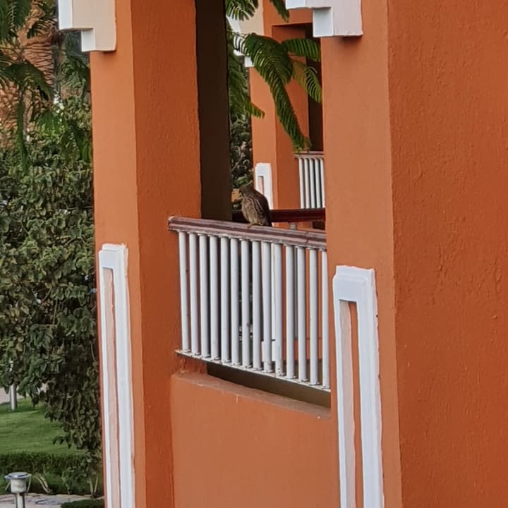 Sonstiges Sentido Caribbean World Soma Bay