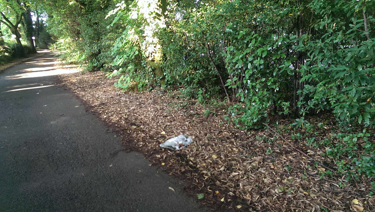 Auffahrt zum Hotel Villa Stanley