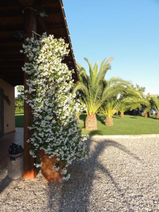 Jasmin an der Rezeption  Fattoria San Lorenzo