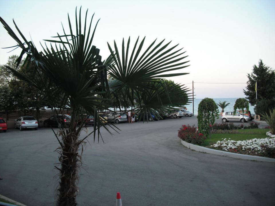 Vor dem Hotel alltoura Club Hotel Poseidon Palace