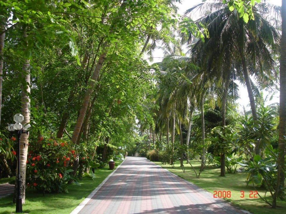 Ogród Villa Park Sun Island