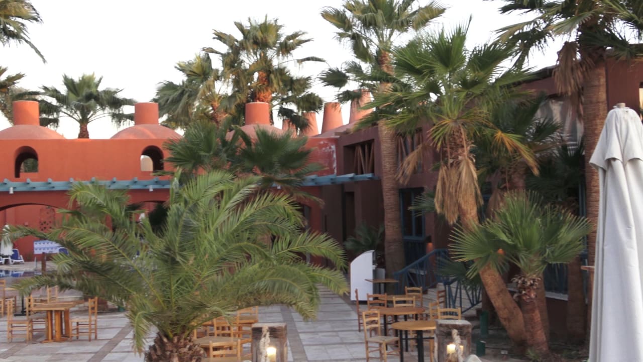 Gastro Sheraton Miramar Resort El Gouna
