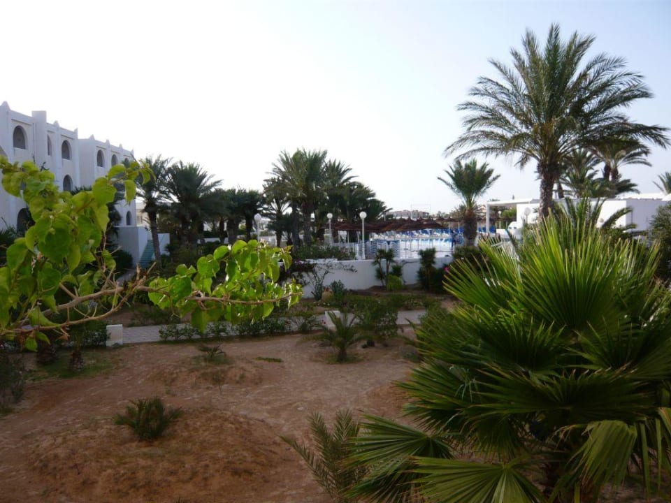 Ausblick aus dem Zimmer Calimera Yati Beach