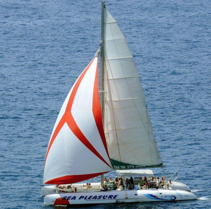 Rückkehr von der Walbeobachtung Hotel Golden Residence