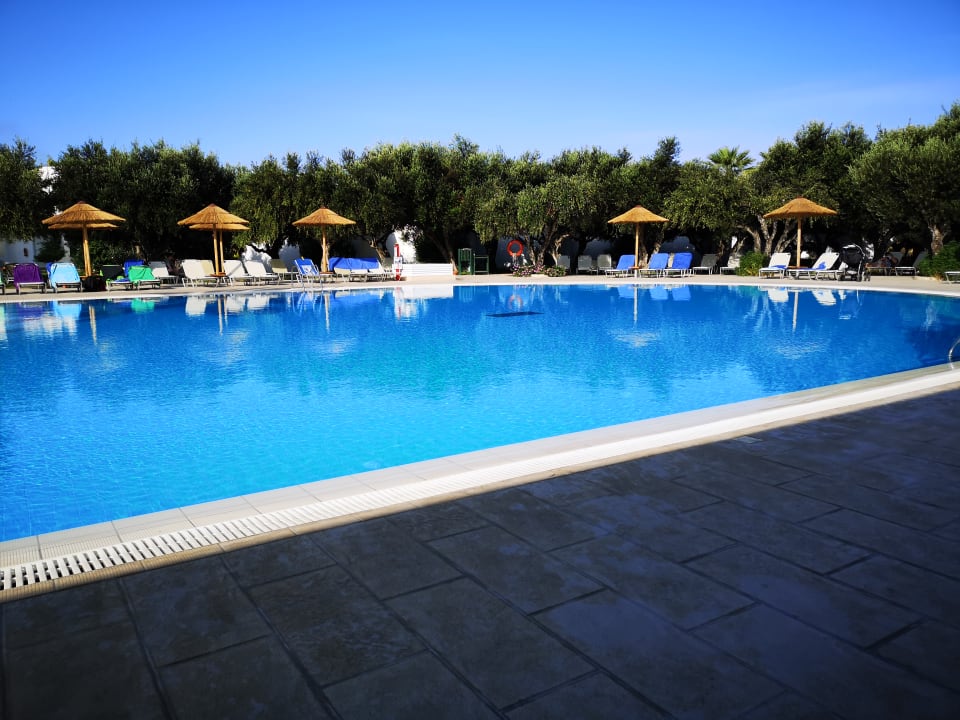 Pool TUI KIDS CLUB Alex Beach