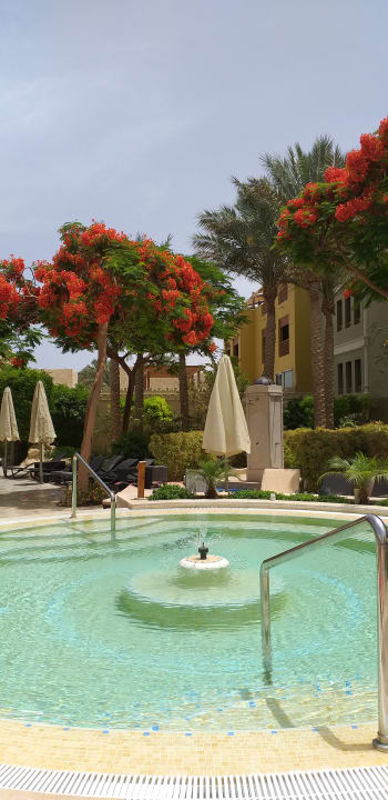 Pool Makadi Spa - Adults only