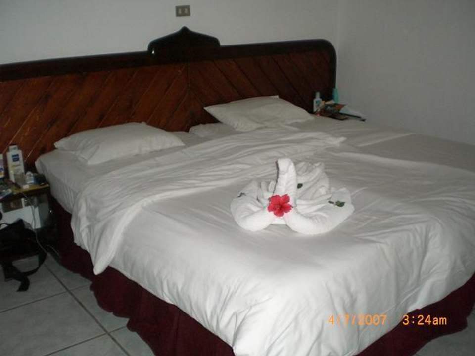 Bungalowzimmer 220 Ghazala Beach