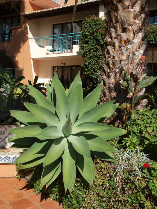 Außenansicht Hotel Quinta Splendida Wellness & Botanical Garden