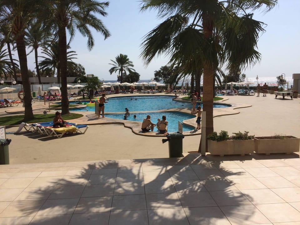 Pool Aparthotel Playa Dorada