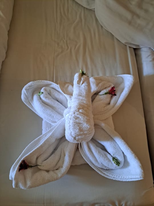 Zimmer Ghazala Gardens