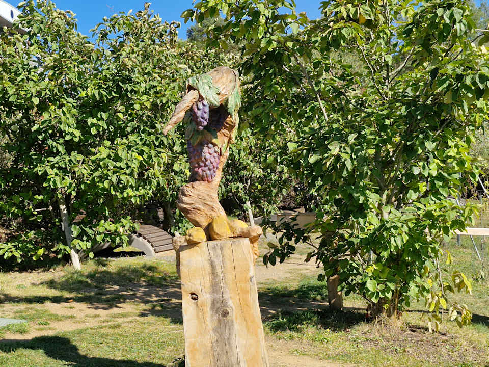 Gartenanlage Bio-Seehotel Zeulenroda