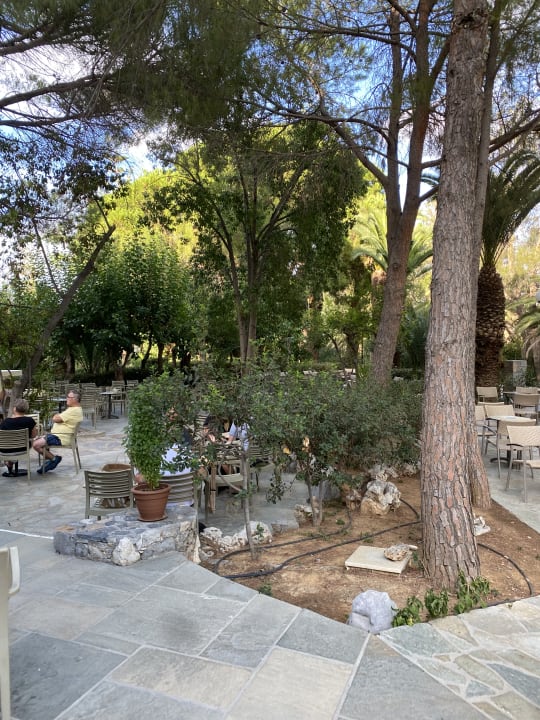 Gartenanlage Apollonia Beach Resort & Spa