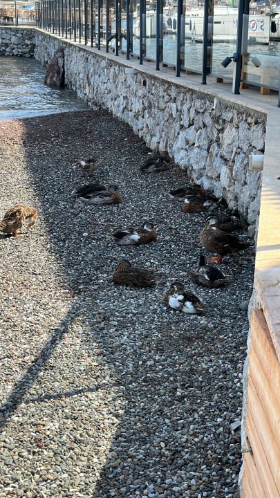 Strand Cook's Club Adakoy Marmaris