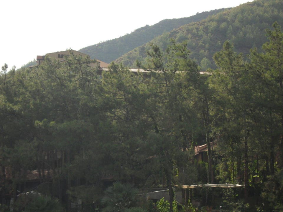 Отель со стороны моря Grand Yazici Club Marmaris Palace