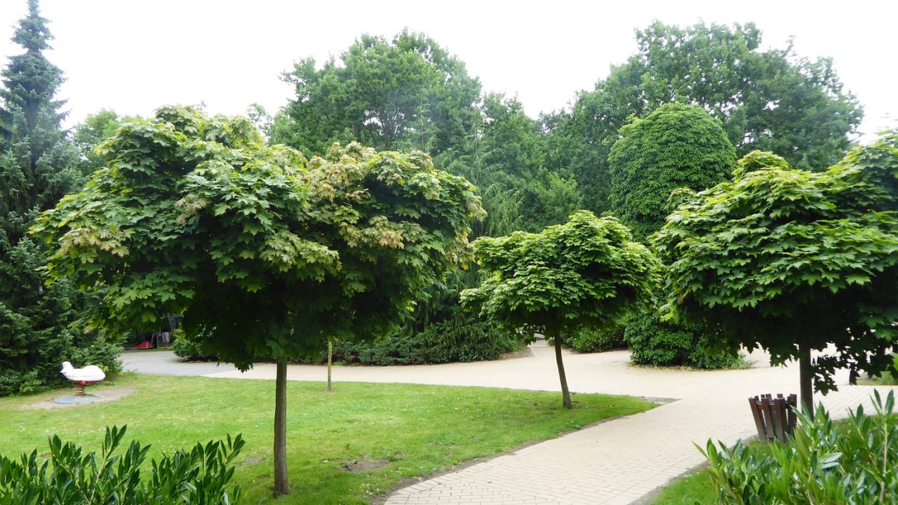 Gartenanlage IFA Rügen Hotel & Ferienpark