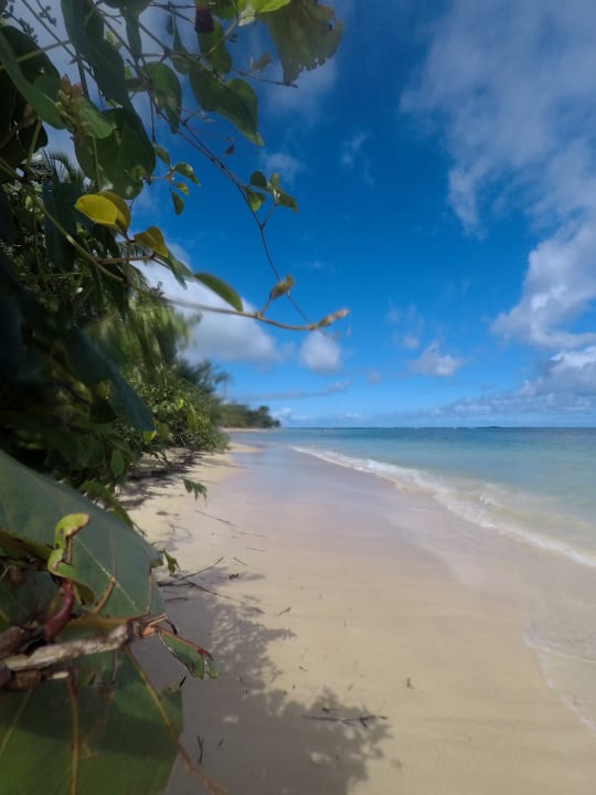 Strand Bahia Principe Grand El Portillo