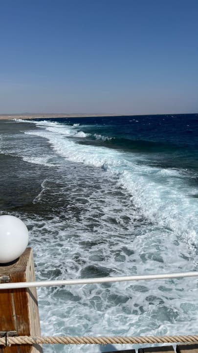 Strand Pickalbatros Sea World Resort - Marsa Alam